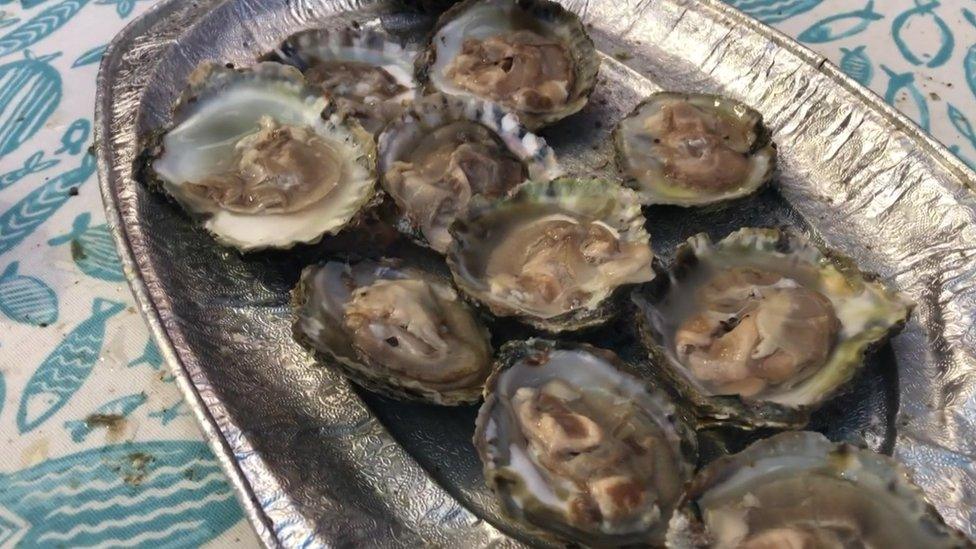 Oysters at Falmouth Oyster Festival, 2022