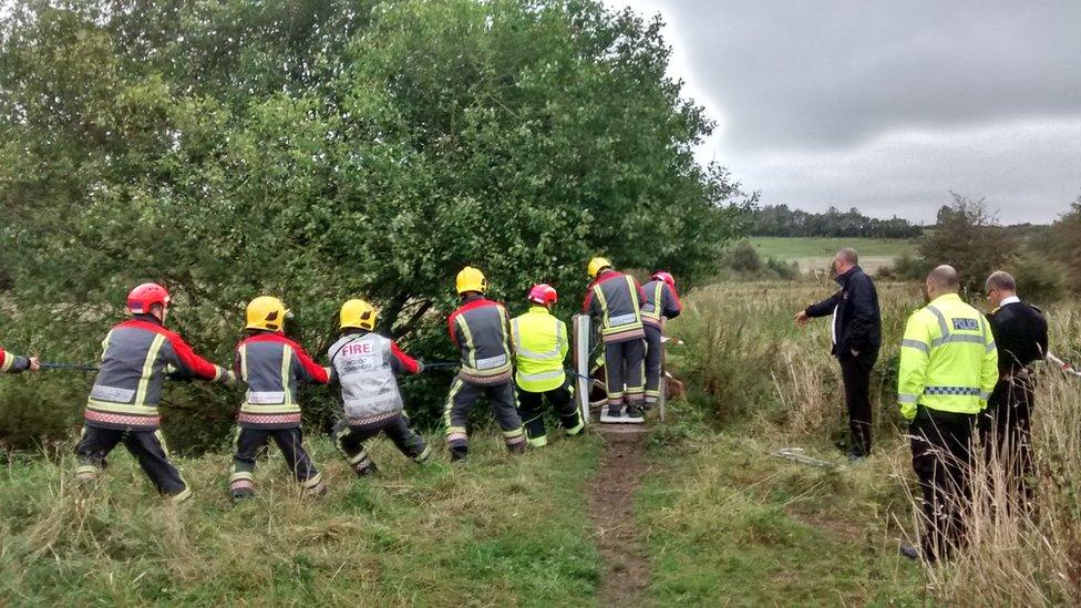 Horse being rescued