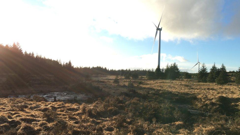 Black Bog Glyncorrwg