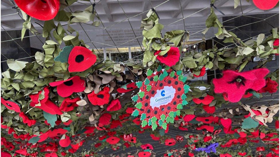 A close-up shot of the poppies