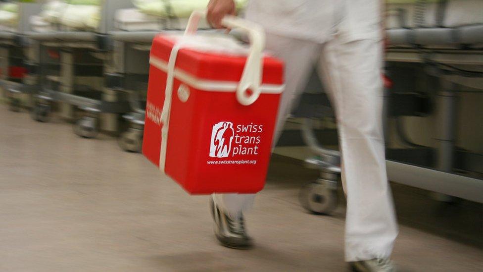 An organ being carried for transplant