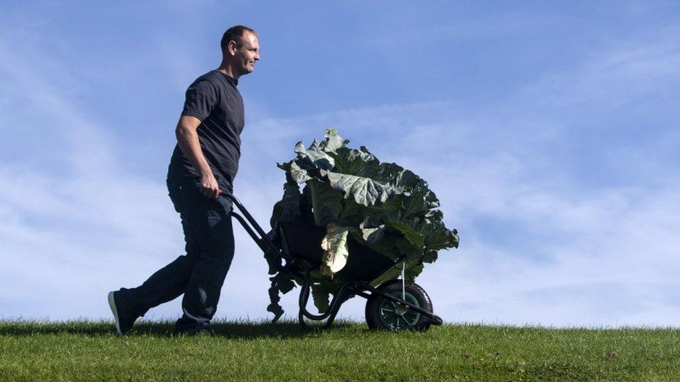 Craig Pearson with his winning giant cabbage