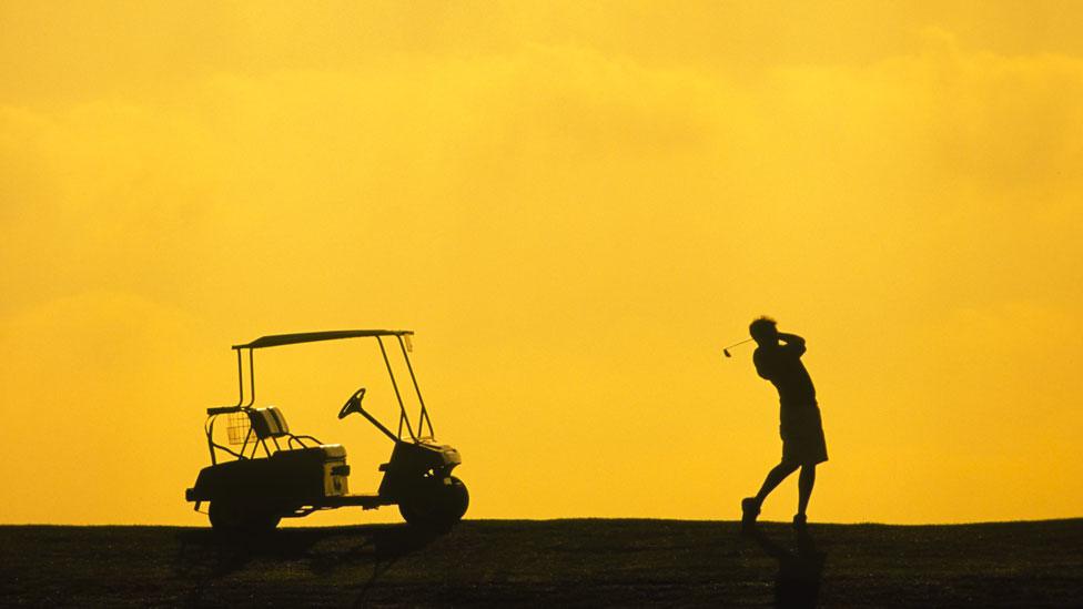 Golfer and buggy