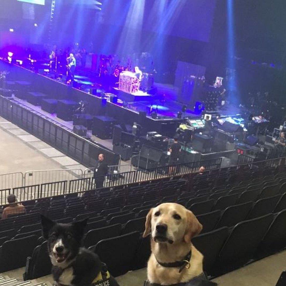 BTP dogs at Noel Gallagher sound check