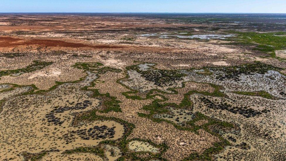 An undated aerial photo of the Narriearra Station