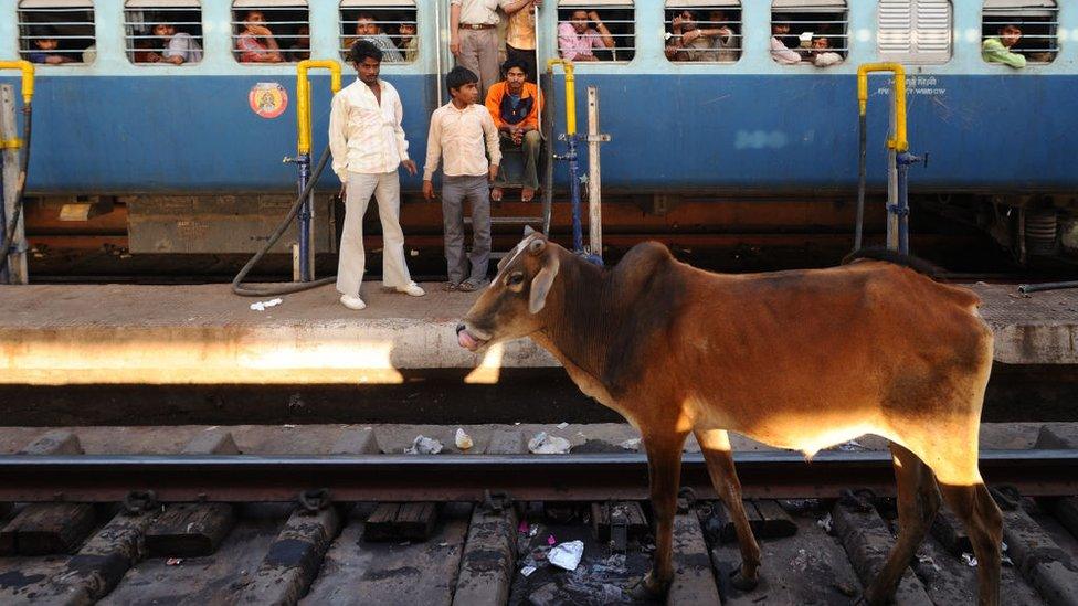 INDIA, MADHYA PRADESH - MARCH 12 : Railway station in Bhopal, Madhya Pradesh on March 12, 2017 in India.