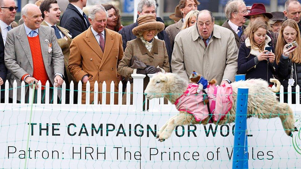 Prince Charles, Camilla, Duchess of Cornwall and Sir Nicholas Soames watch the sheep race at The Prince's Countryside Fund Raceday at Ascot in March, 2015