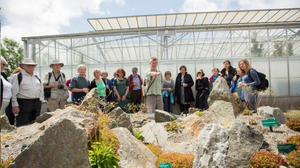 Conserving Welsh Plants area