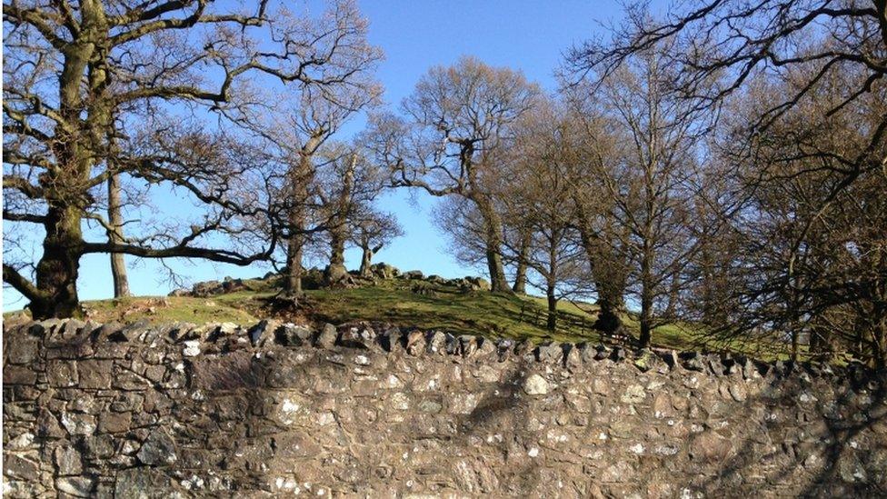 Bradgate Park in Leicestershire