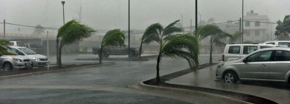 View of a street in Manzanillo, Colima state, Mexico on October 23, 2015, during hurricane Patricia