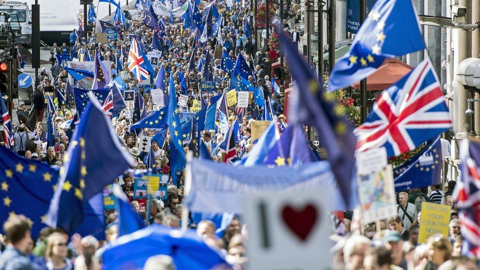 Protesters marching in Whitehall