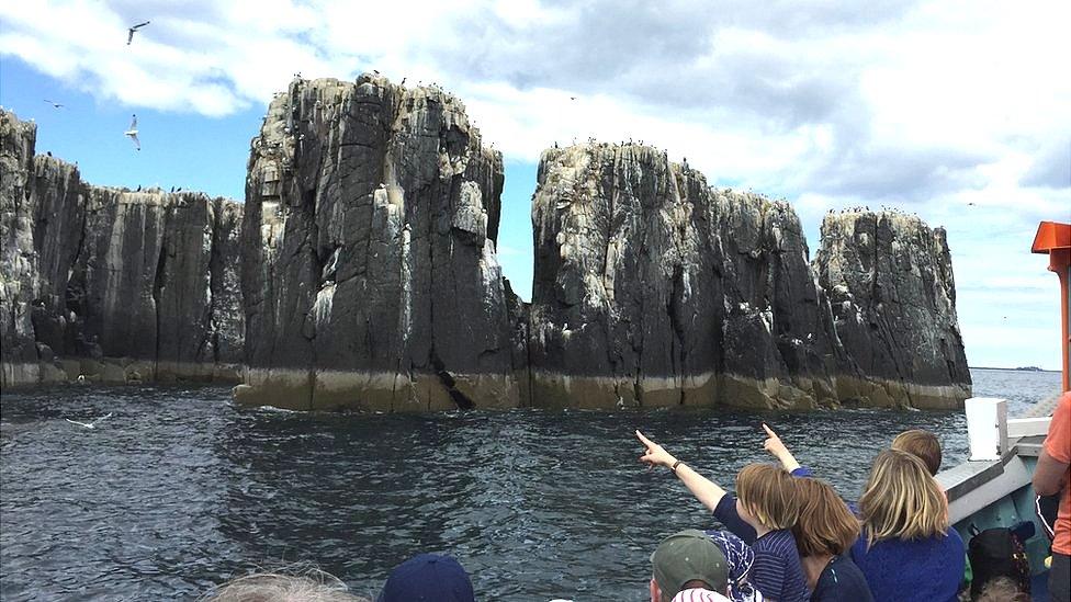 Farne boat trip