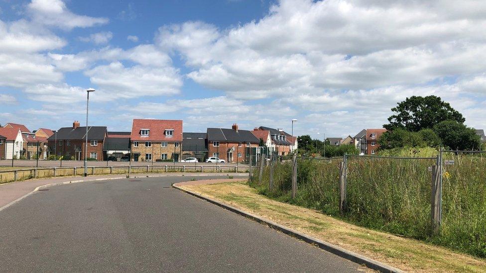 A road between houses and a field