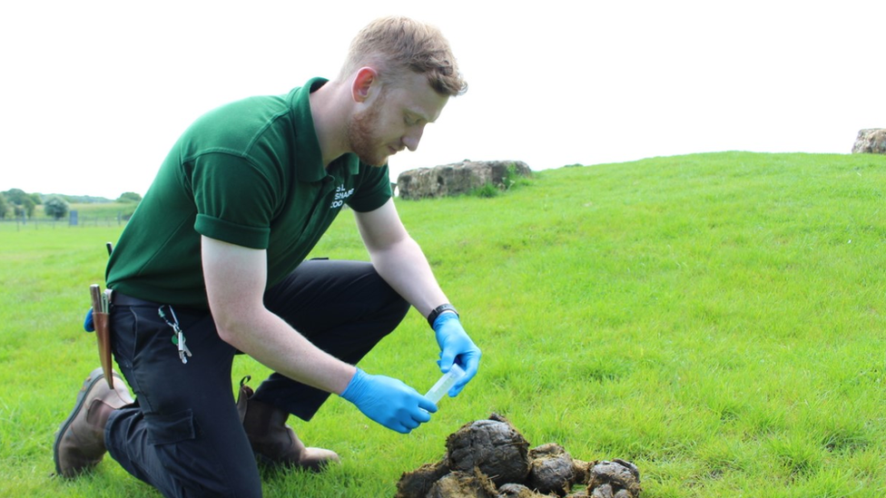 keeper-collecting-poo-sample