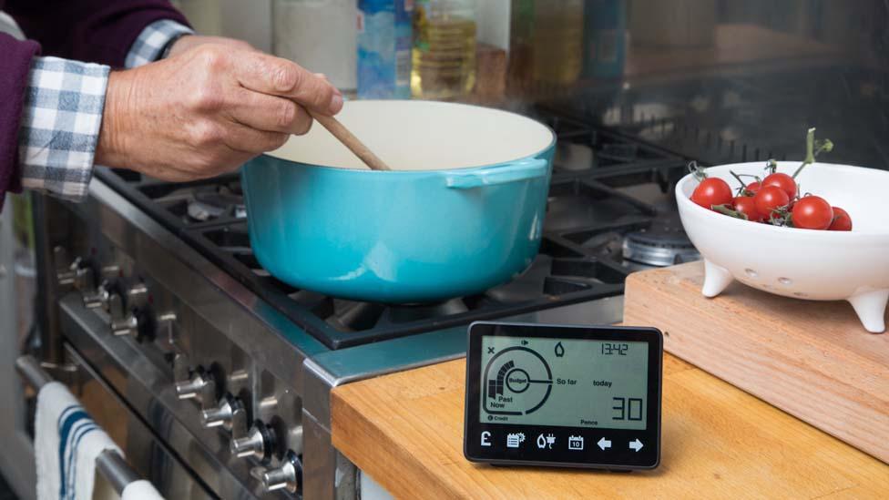 smart meter monitor