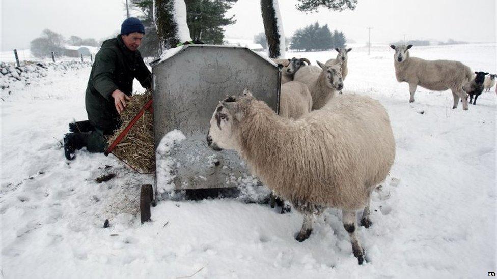 Farming in Scotland