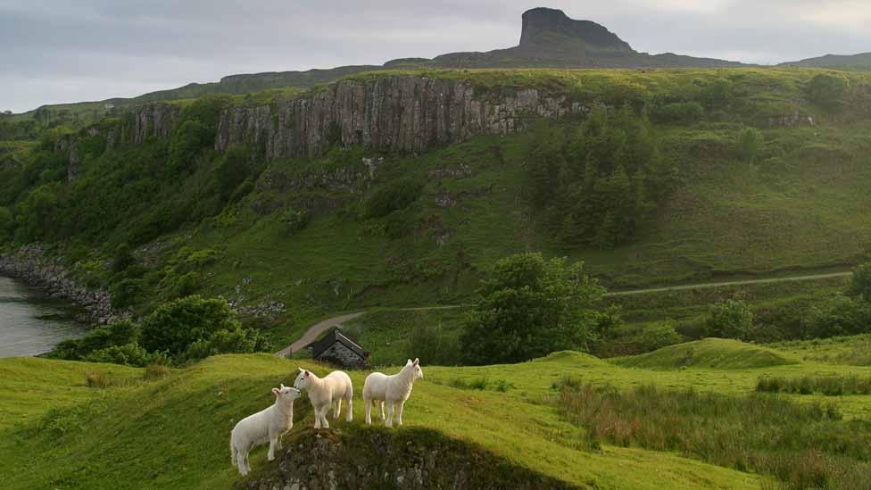 Isle of Eigg