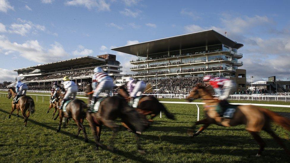 Cheltenham races