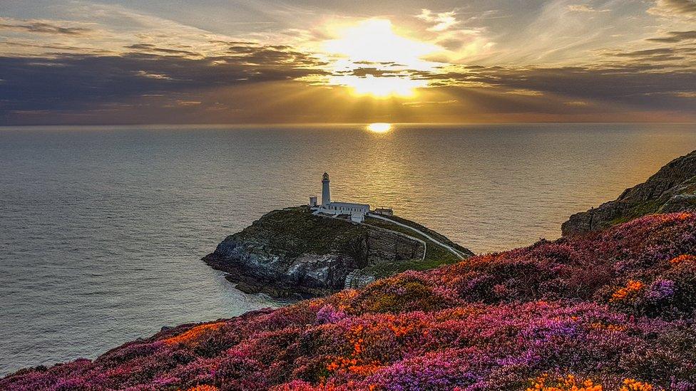 Light and colour at South Stack on Anglesey, by @sian_monument