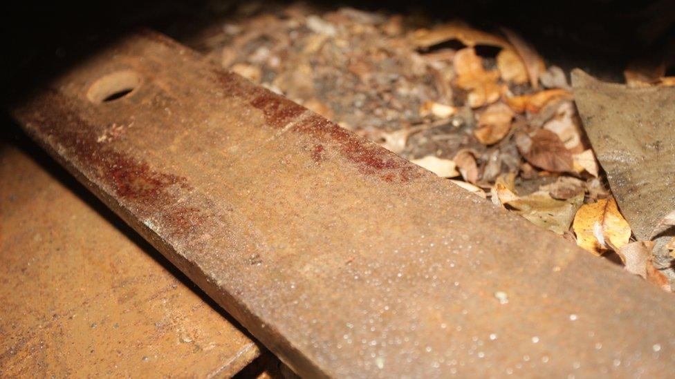 Blood staining on a forklift blade