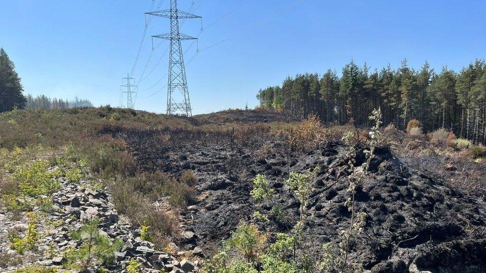 Wildfire damage