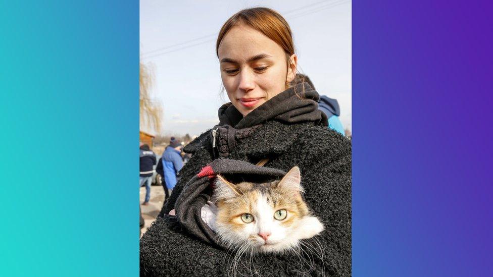 Ukrainian woman and her cat arrived to Poland as tens of thousands refugees from Ukraine enter Poland at border crossing of Medyka