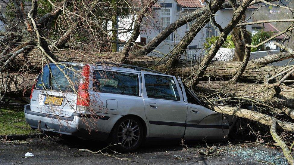 A tree that fell in high winds brought by Storm Katie lies across a car in a street in Brighton