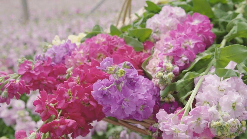 Cut flowers in basket