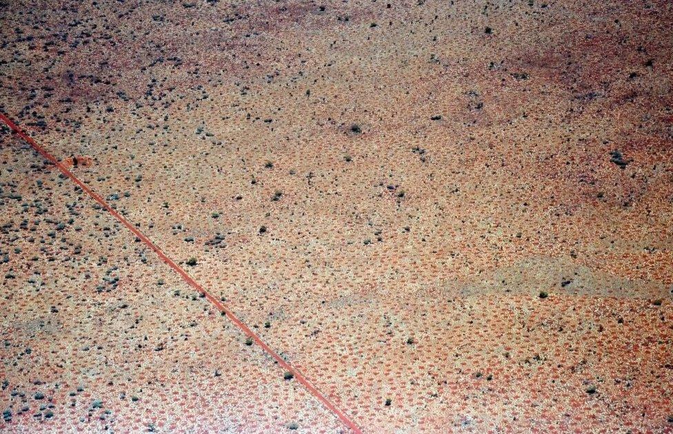 An aerial view of fairy circles in Australia's Pilbara region