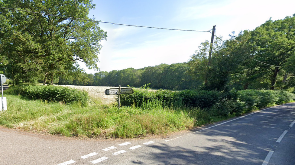 Ockley Road, Forest Green