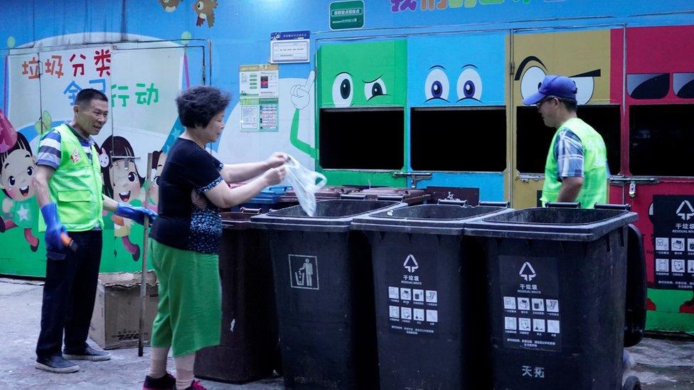 shanghai bins