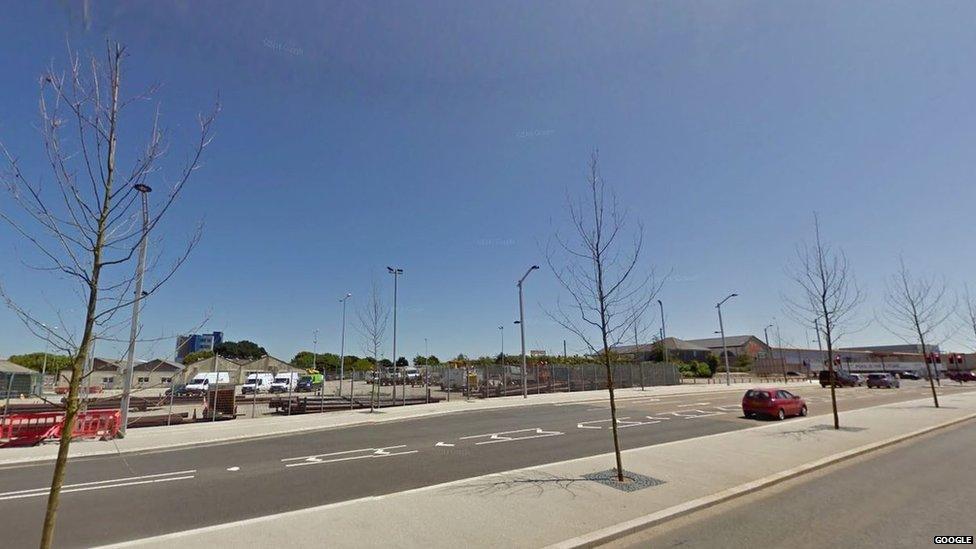 London Plane trees, Tolvaddon Road, Pool