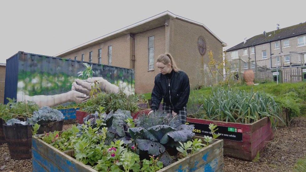 St Paul's Community Garden in the east end of Glasgow