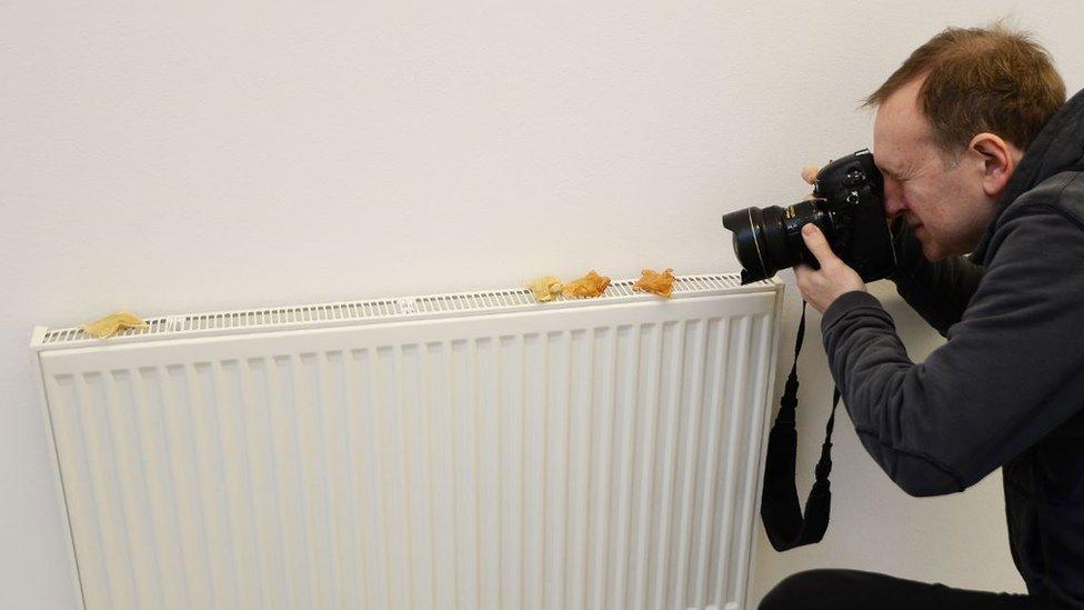 Photographer taking a picture of the three used teabags artwork