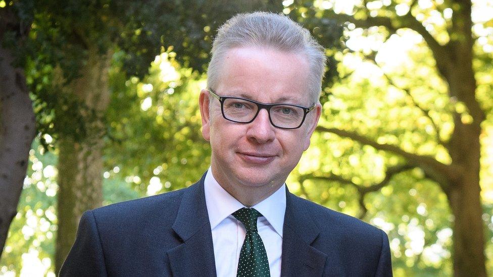 Michael Gove