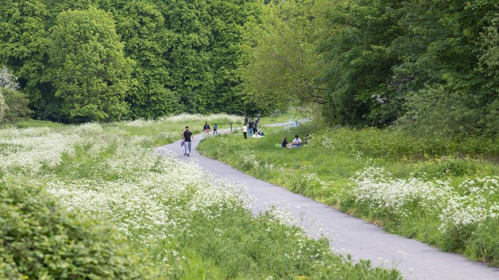 The paths in Colwick park