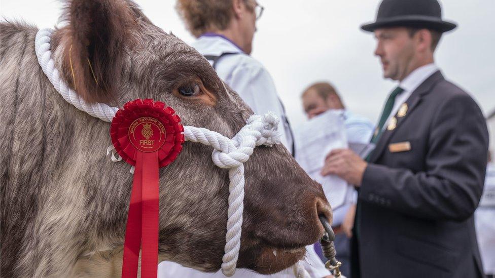 Prize winner at the GYS