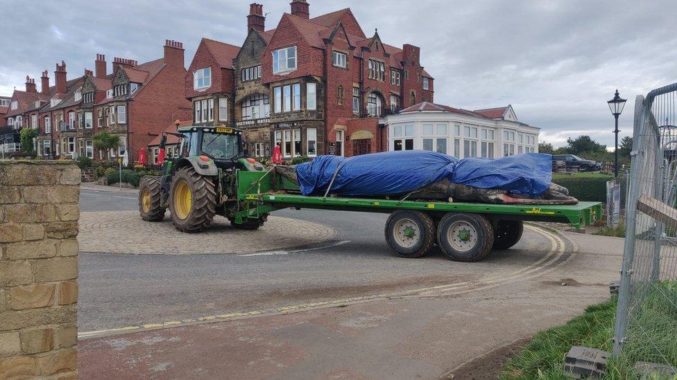 Tractor pulling a trailer with a dead whale on the back