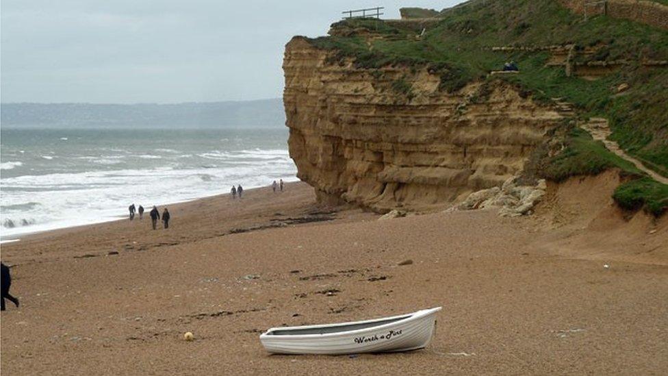 Burton Cliffs at Hive Beach