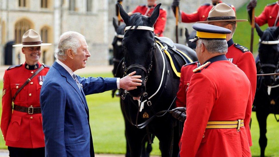 King Charles III is officially presented with 'Noble', a horse given to him by the Royal Canadian Mounted Police (RCMP) earlier this year, as he formally accepts the role of Commissioner-in-Chief of the RCMP during a ceremony in the quadrangle at Windsor Castle