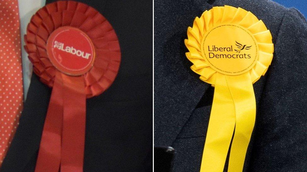 Lab and Lib Dem rosettes