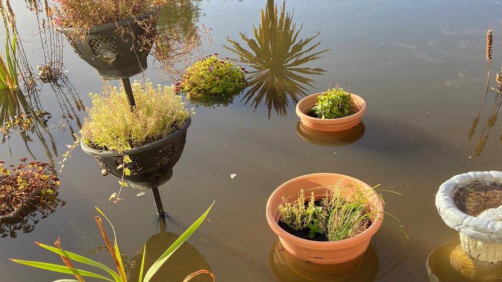 Garden flooding