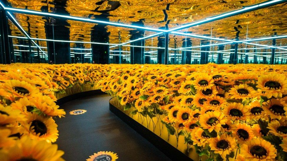 The Sunflower Selfie Room