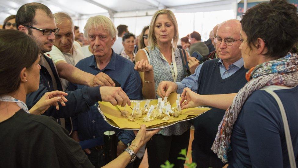 A curious crowd tries the jellyfish