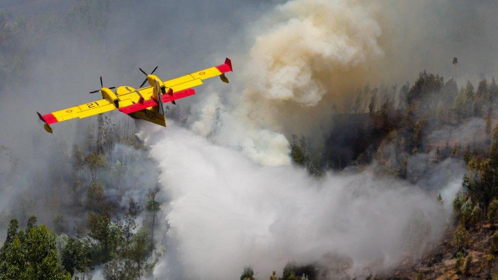 A Spanish Canadair firefighting aircraft drops water over the Pedrógão Grande forest fire, in central Portugal, 18 June 2017.