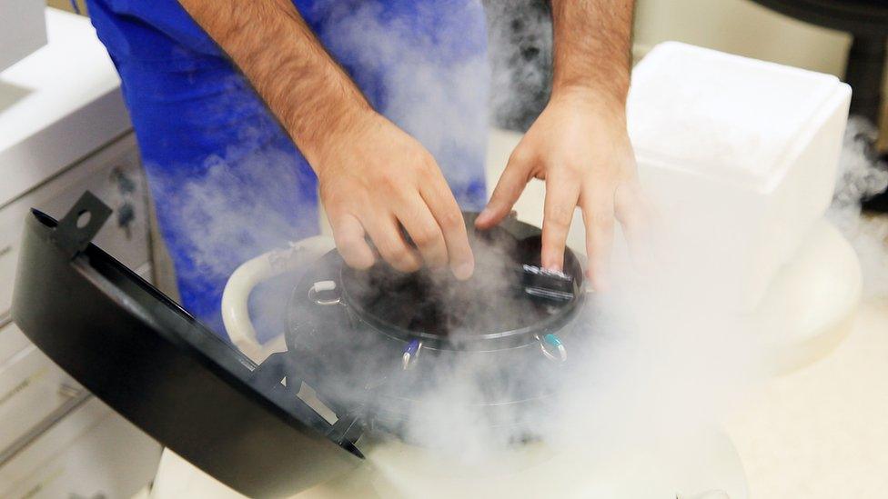 Freezing eggs for storage