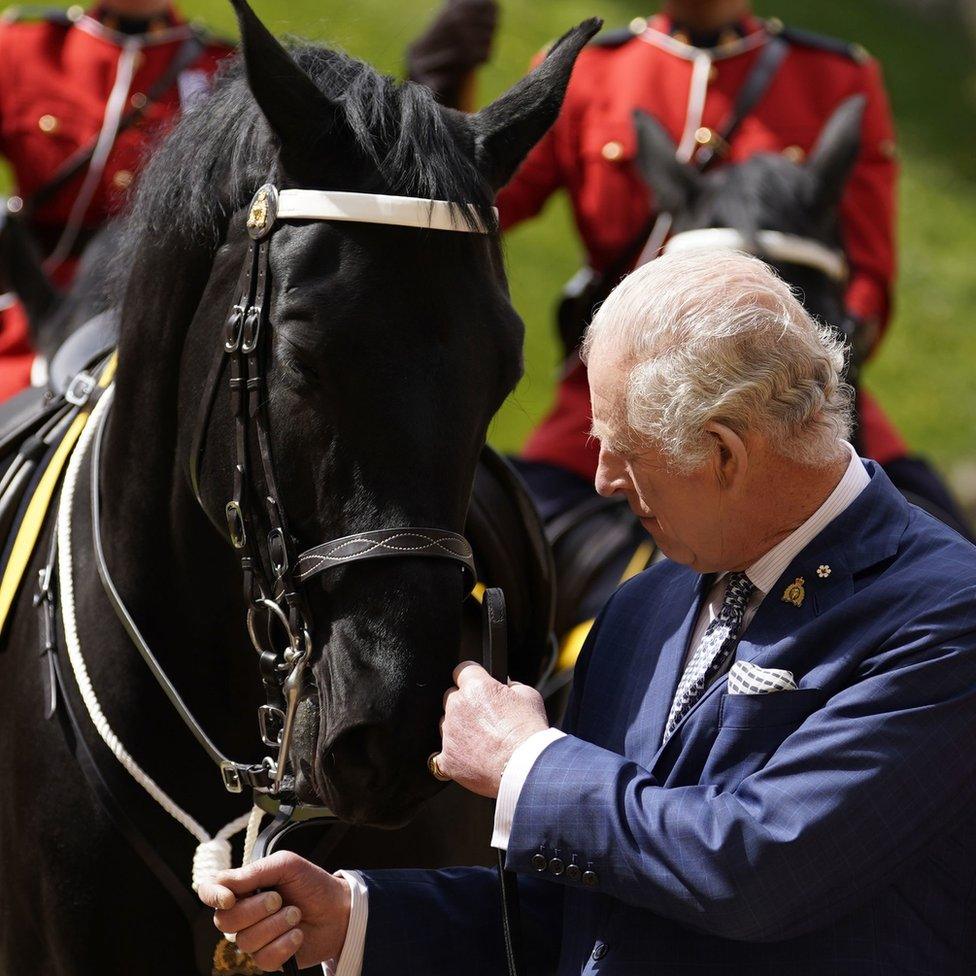 King Charles III is officially presented with 'Noble', a horse given to him by the Royal Canadian Mounted Police (RCMP) earlier this year, as he formally accepts the role of Commissioner-in-Chief of the RCMP during a ceremony in the quadrangle at Windsor Castle