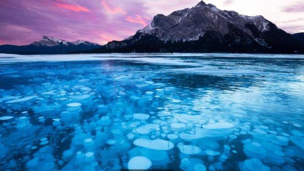 Lake-Abraham-frozen-methane-bubbles-in-Canada.