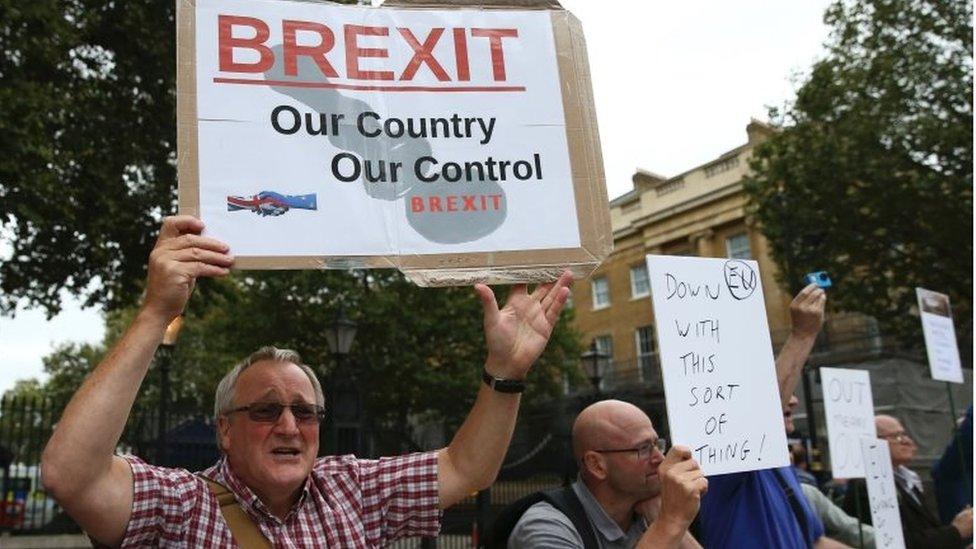 Man holds pro-Brexit banner