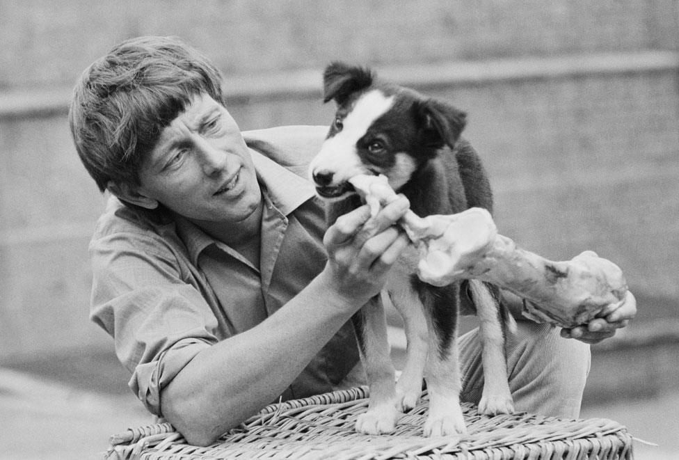 Shep the dog with John Noakes in 1971